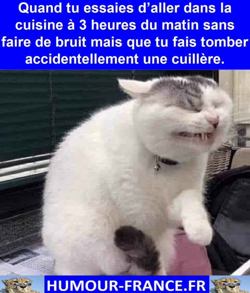 Quand tu essaies d’aller dans la cuisine à 3 heures du matin sans faire de bruit mais que tu fais tomber accidentellement une cuillère.