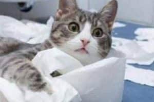 Quand tu ne l’entends plus depuis 15 minutes …