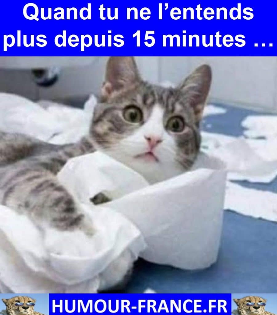 Quand tu ne l’entends plus depuis 15 minutes …