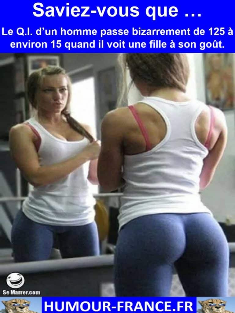 Saviez-vous que … Le Q.I. d’un homme passe bizarrement de 125 à environ 15 quand il voit une fille à son goût.