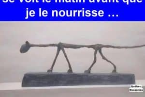 Voici comment mon chat se voit le matin avant que je le nourrisse …