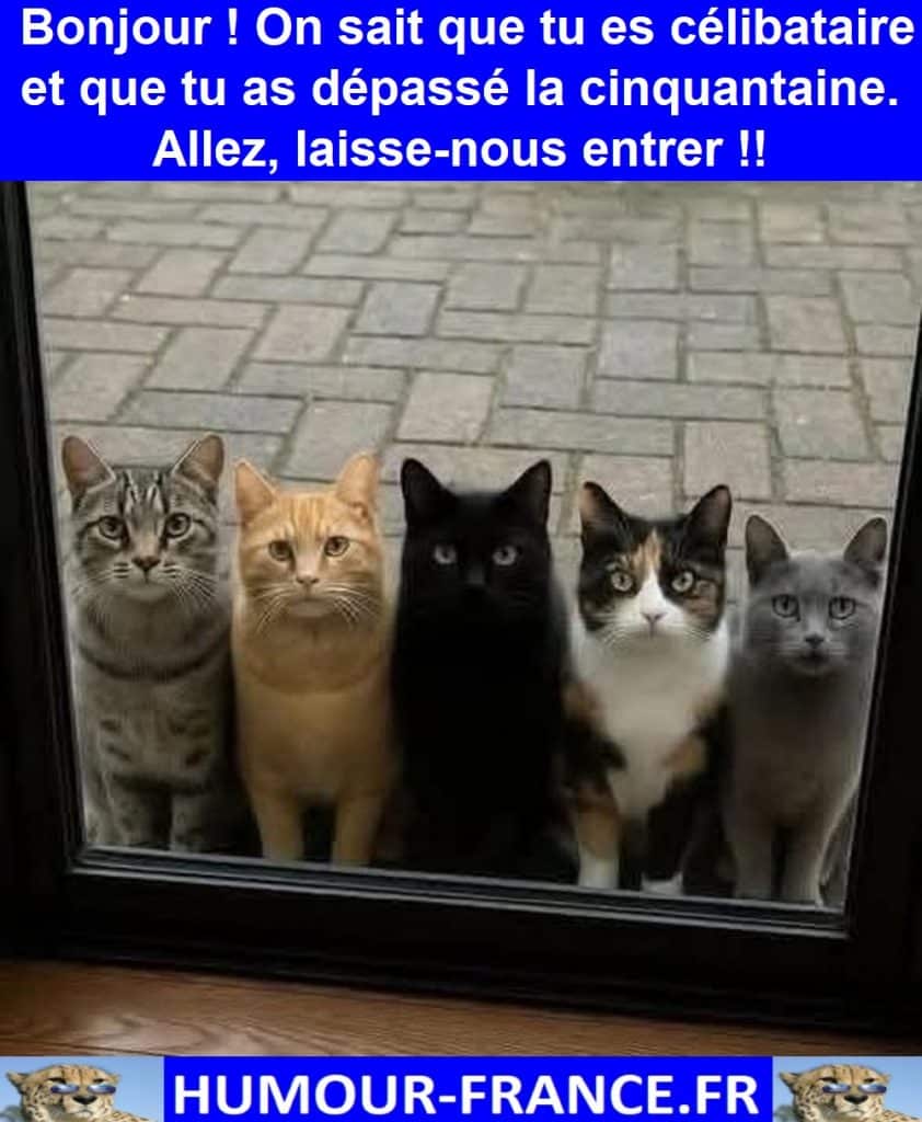 Bonjour ! On sait que tu es célibataire et que tu as dépassé la cinquantaine. Allez, laisse-nous entrer !!