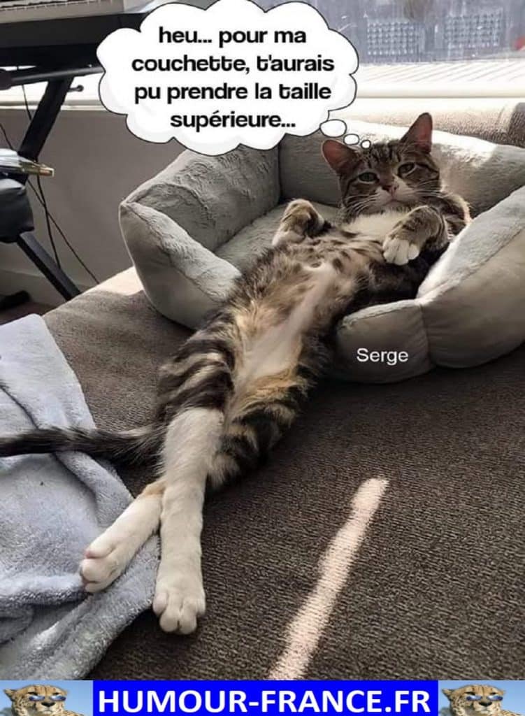 Heu … pour ma couchette, tu aurais pu prendre la taille supérieure …