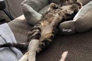 Heu … pour ma couchette, tu aurais pu prendre la taille supérieure …