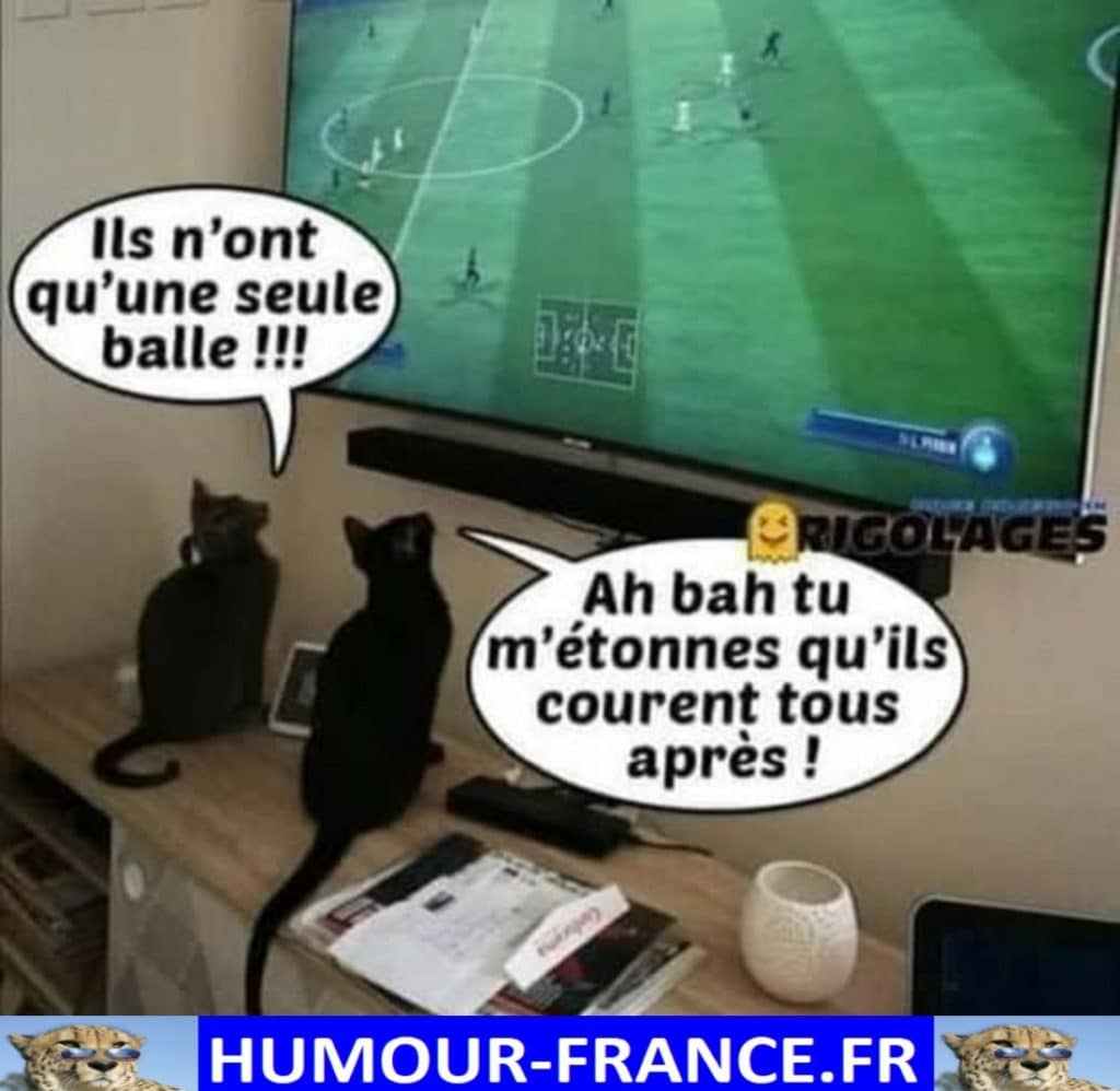 Ils n’ont qu’une seule balle !!!