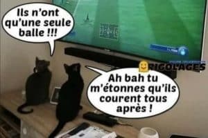 Ils n’ont qu’une seule balle !!!