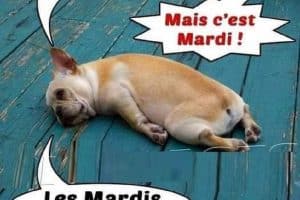 Je déteste les lundis !