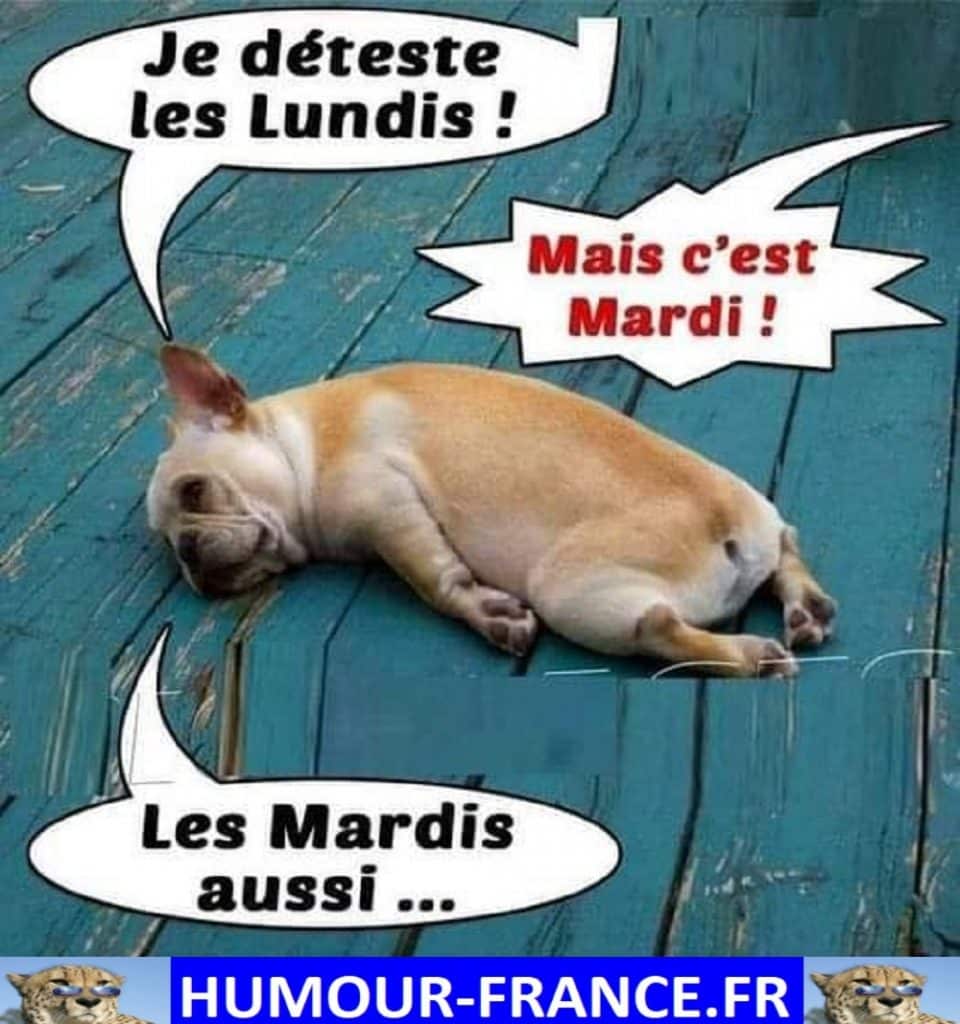 Je déteste les lundis !