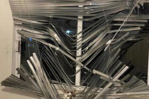 Mesdames, messieurs, voici l’œuvre d’art et l’artiste.