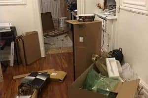 Mettez vu si vous trouvez le chat.