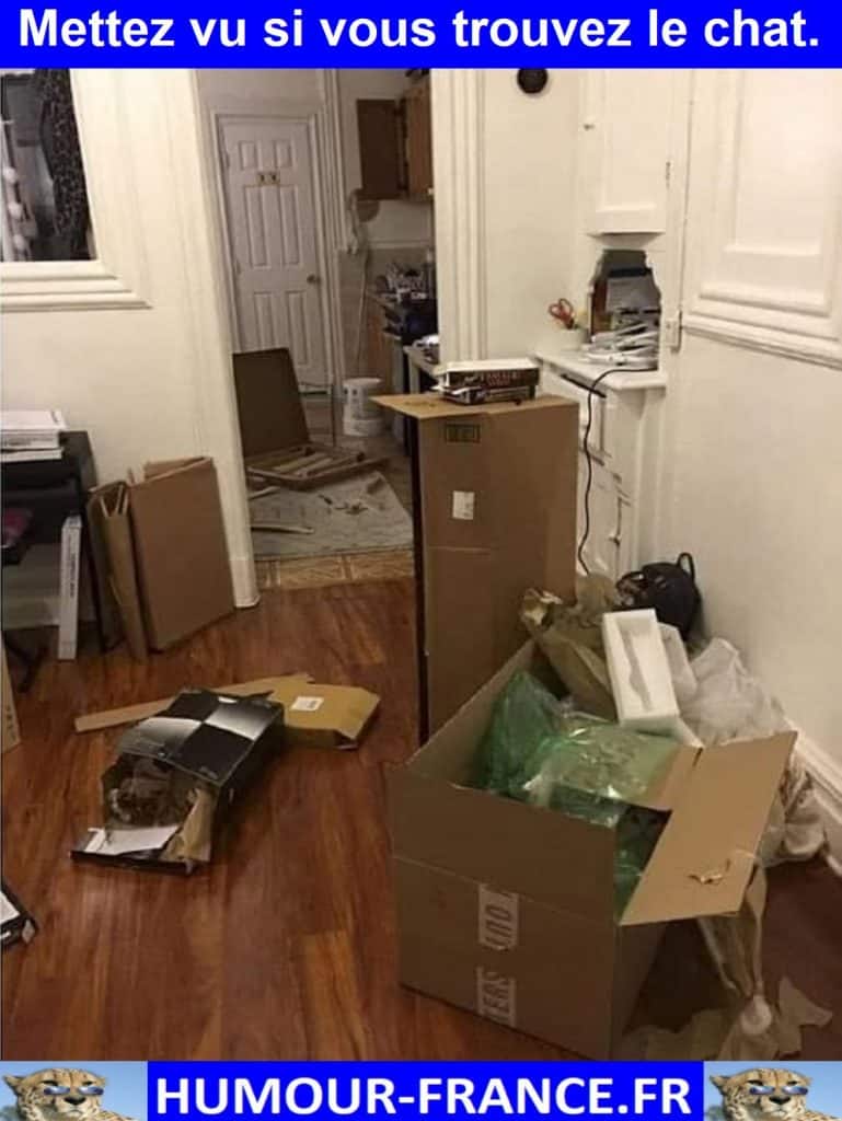 Mettez vu si vous trouvez le chat.