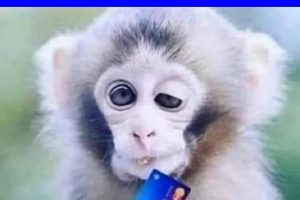 Quand je suis au bar en fin de soirée et que j’essaye de commander un autre verre.