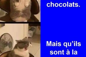 Quand on m’offre des chocolats.