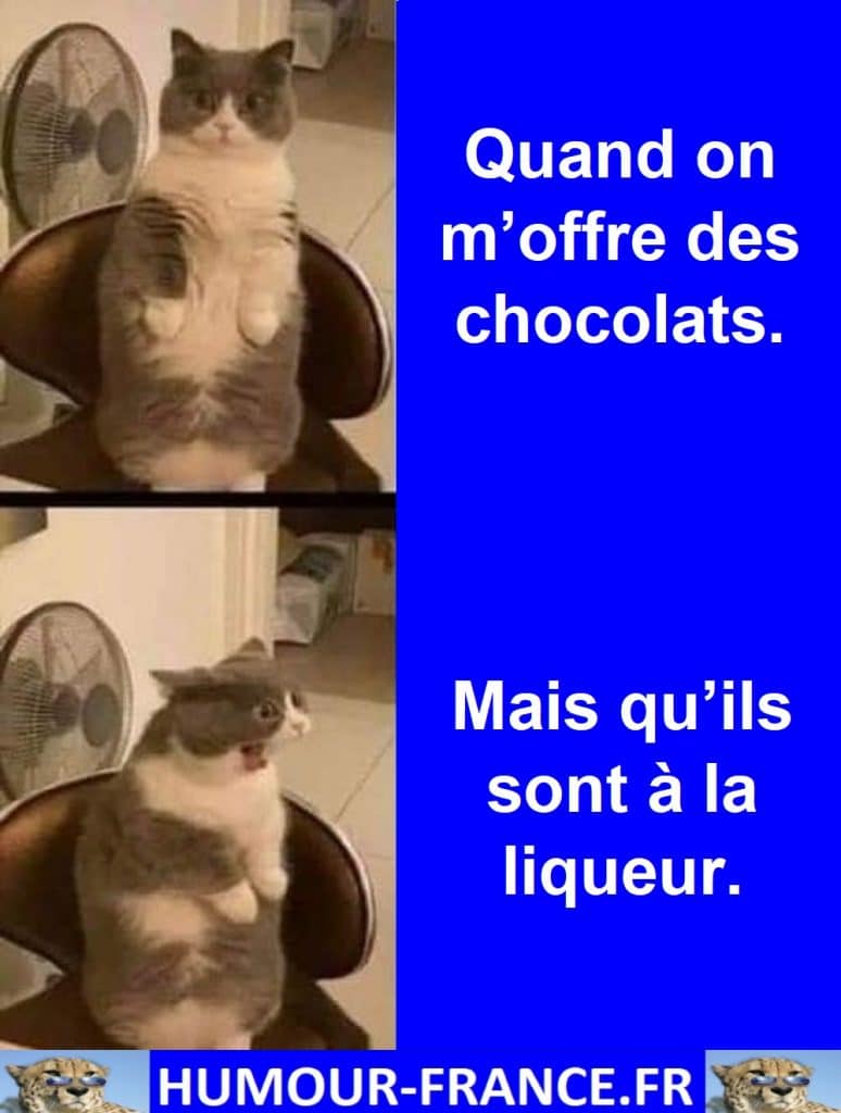 Quand on m’offre des chocolats.