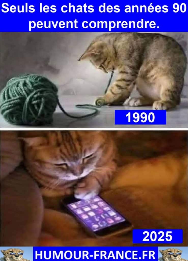 Seuls les chats des années 90 peuvent comprendre.