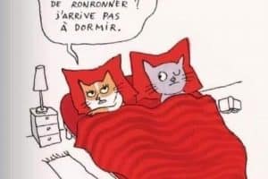 Tu peux arrêter de ronronner J’arrive pas à dormir.