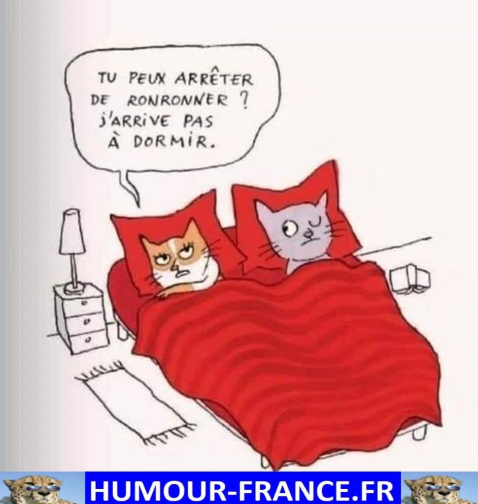Tu peux arrêter de ronronner J’arrive pas à dormir.