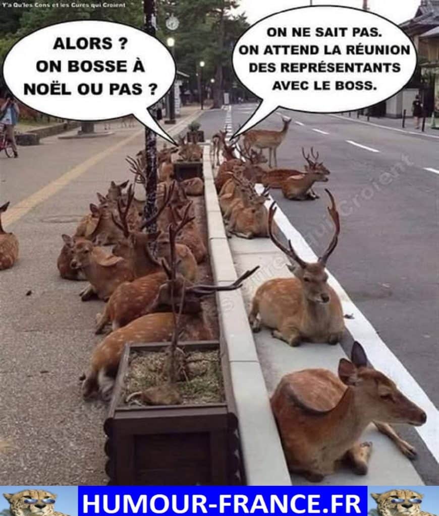 Alors ? on bosse à noël ou pas ?