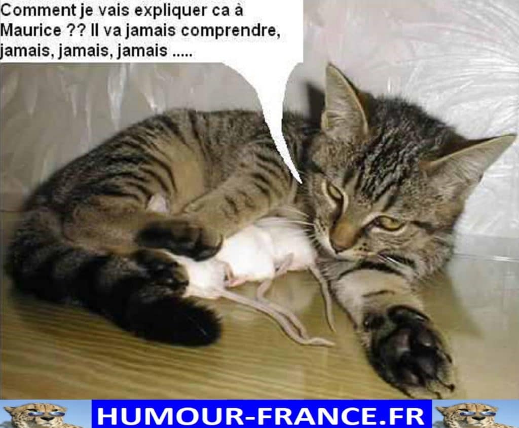 Comment je vais expliquer &ccedil;a &agrave; Maurice ?? Il va jamais comprendre, jamais, jamais, jamais &hellip;