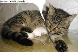 Comment je vais expliquer ça à Maurice ?? Il va jamais comprendre, jamais, jamais, jamais …