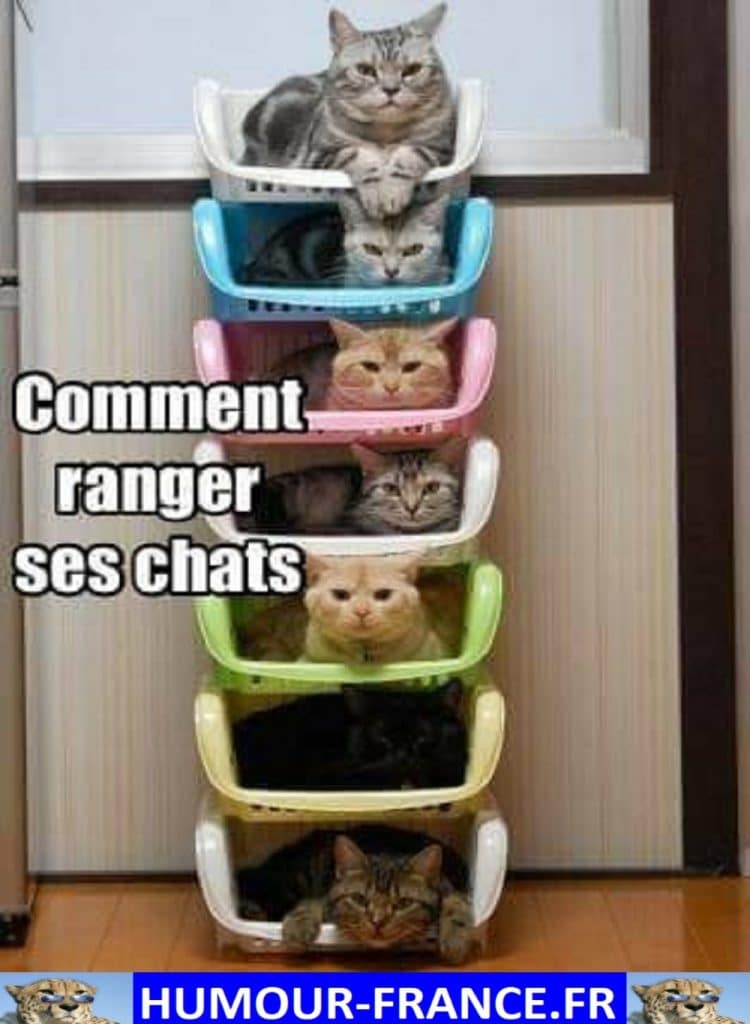 Comment ranger ses chats.