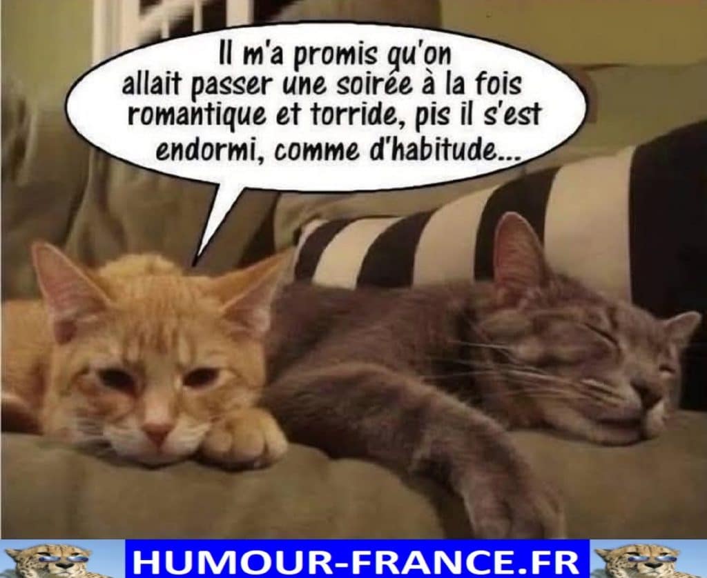 Il m’a promis qu’on allait passer une soirée à la fois romantique et torride, pis il s’est endormi, comme d’habitude …