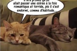 Il m’a promis qu’on allait passer une soirée à la fois romantique et torride, pis il s’est endormi, comme d’habitude …