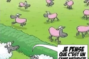 Je pense que c’est un camp naturiste.