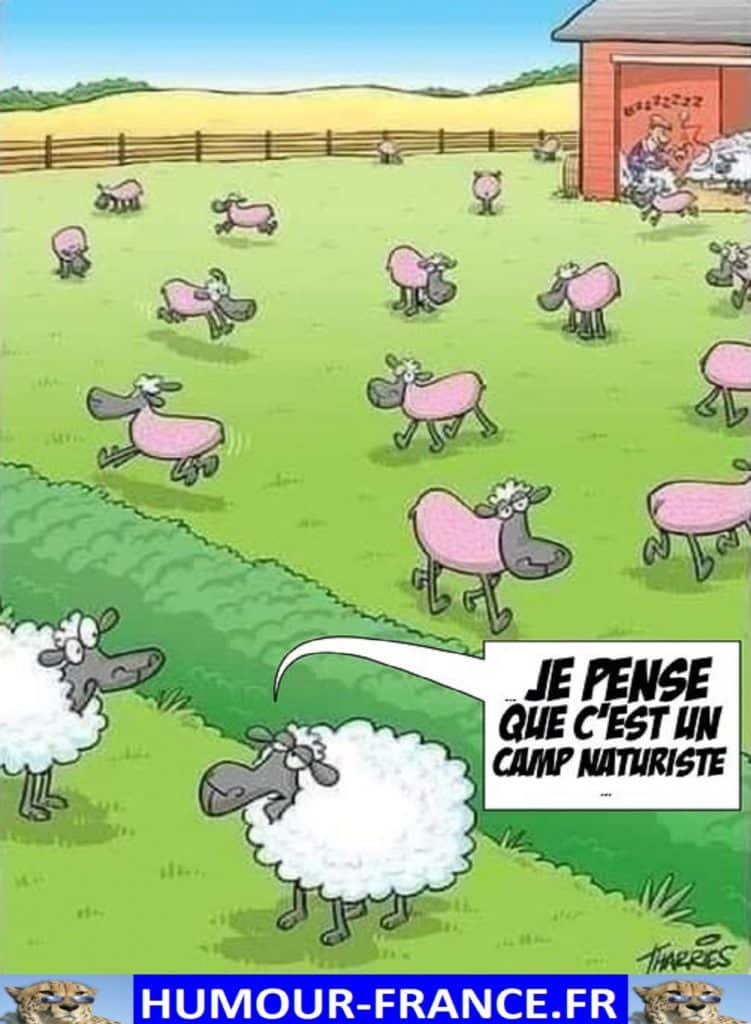 Je pense que c’est un camp naturiste.