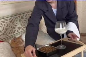 Les gens : Tu laisse ton chat aller sur ton lit ??