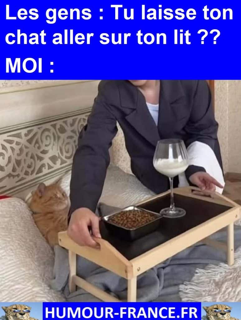 Les gens : Tu laisse ton chat aller sur ton lit ??