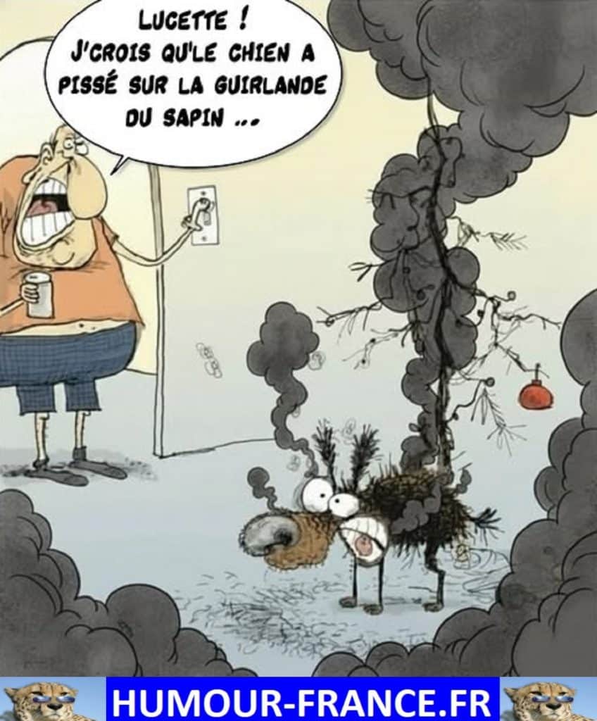 Lucette ! Je crois que le chien a pissé sur la guirlande du sapin …