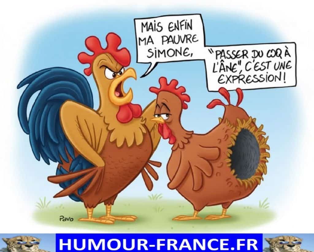 Mais enfin ma pauvre Simone, PASSER DU COQ A L&rsquo;&Acirc;NE, c&rsquo;est une expression !