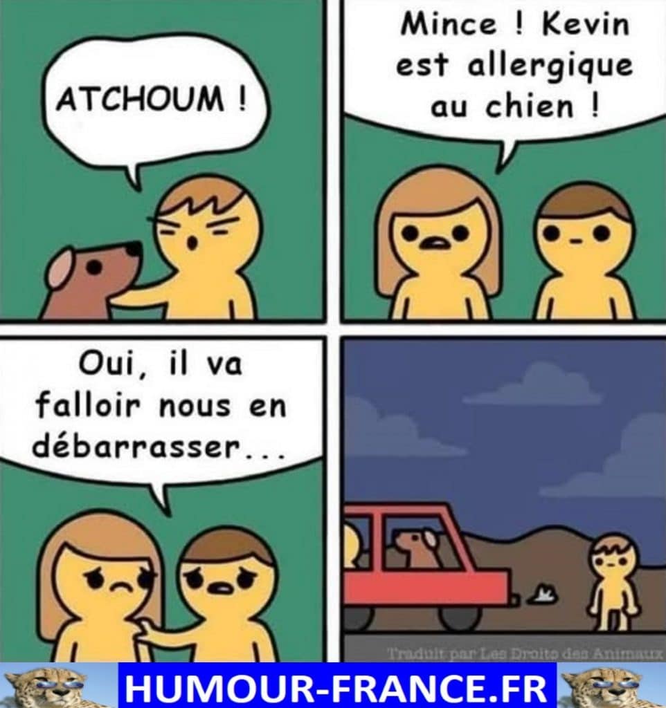 Mince ! Kevin est allergique au chien !