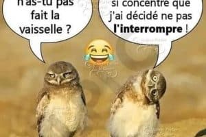 Pourquoi n’as-tu pas fait la vaisselle ?