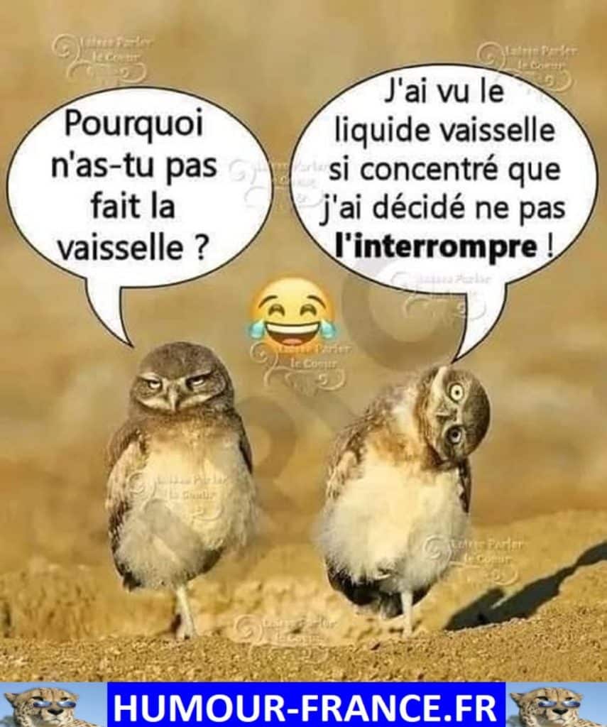 Pourquoi n’as-tu pas fait la vaisselle ?