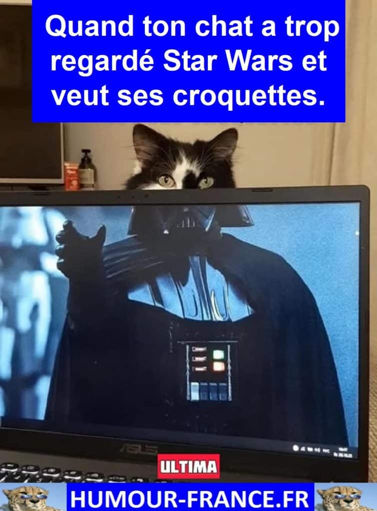 Quand ton chat a trop regardé Star Wars et veut ses croquettes.