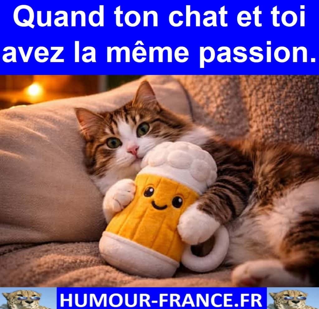 Quand ton chat et toi avez la m&ecirc;me passion.