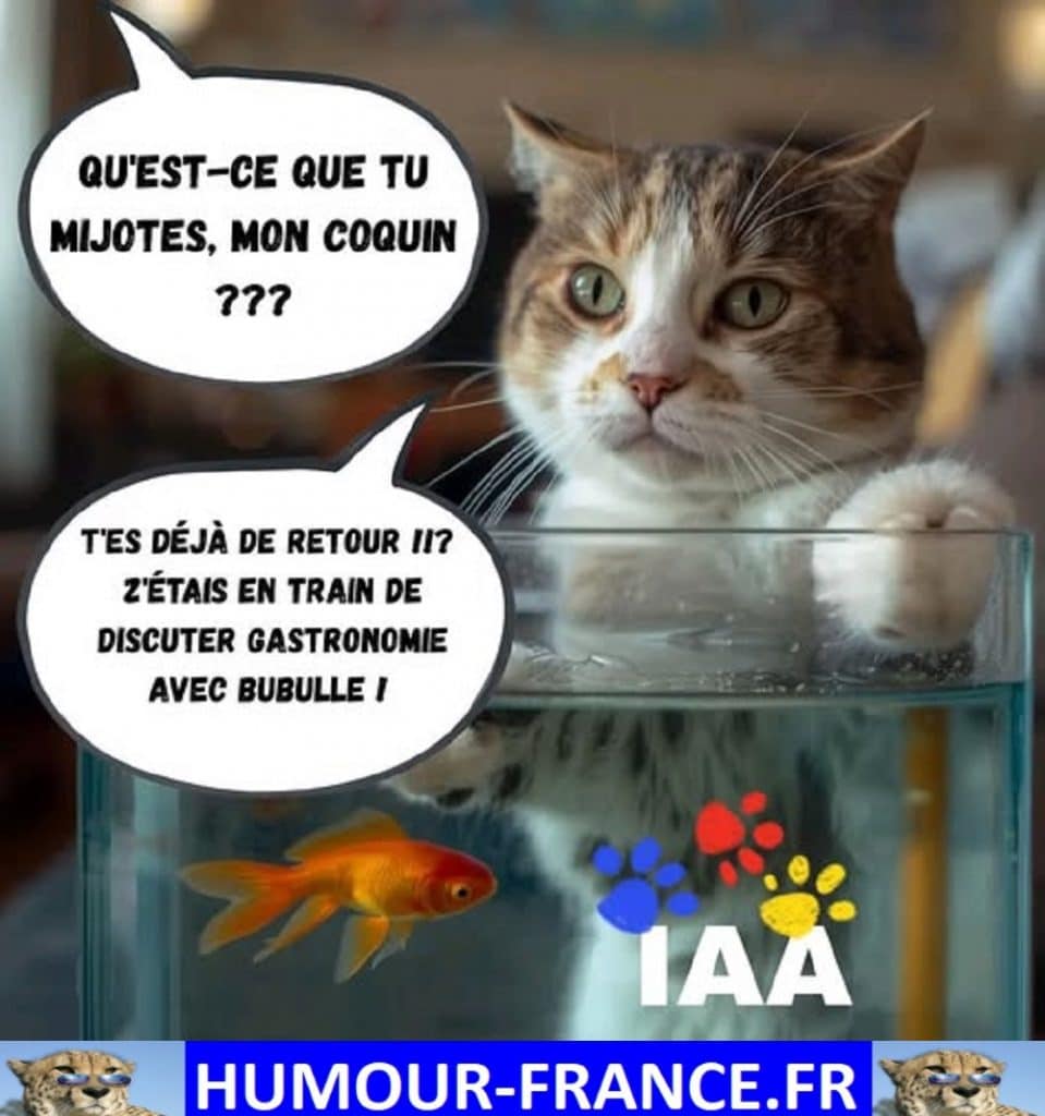 Qu&rsquo;est-ce que tu mijotes, mon coquin ???