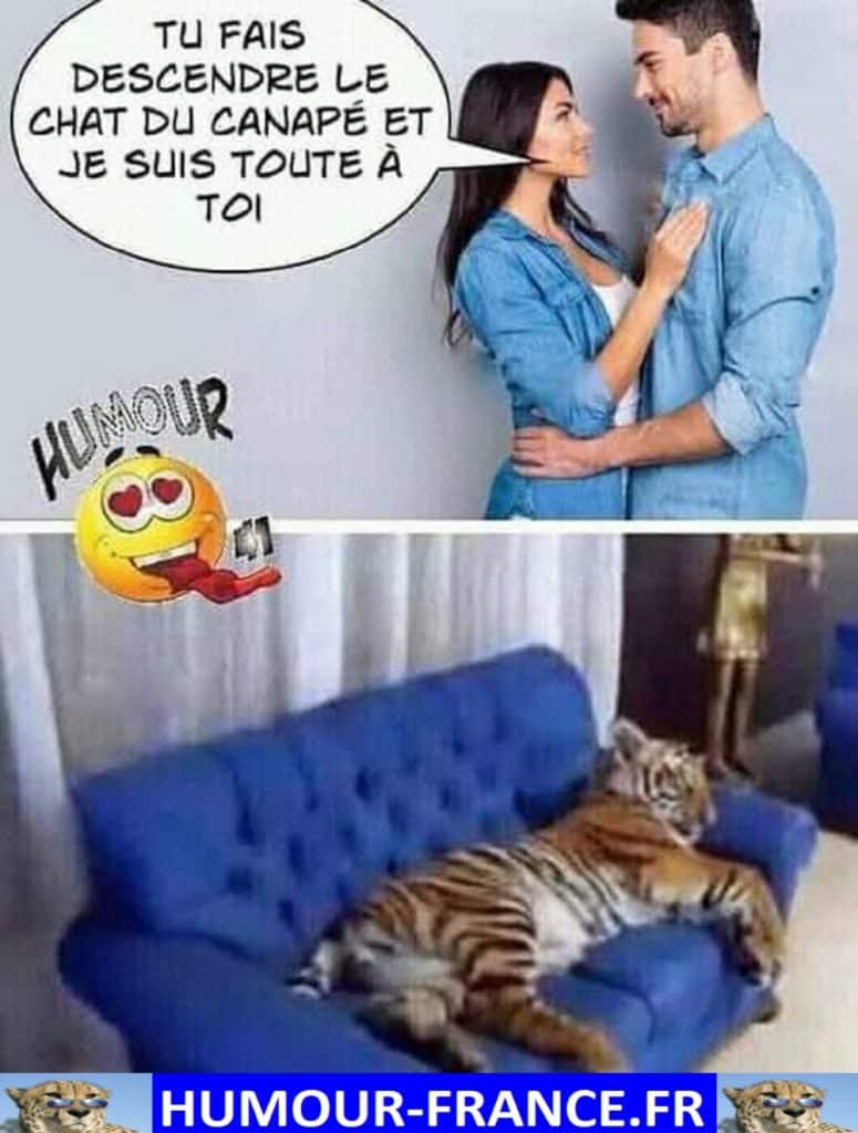 Tu fais descendre le chat du canap&eacute; et je suis toute &agrave; toi.