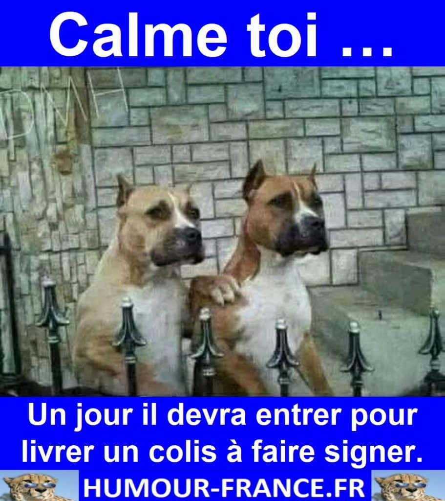 Calme toi … Un jour il devra entrer pour livrer un colis à faire signer.