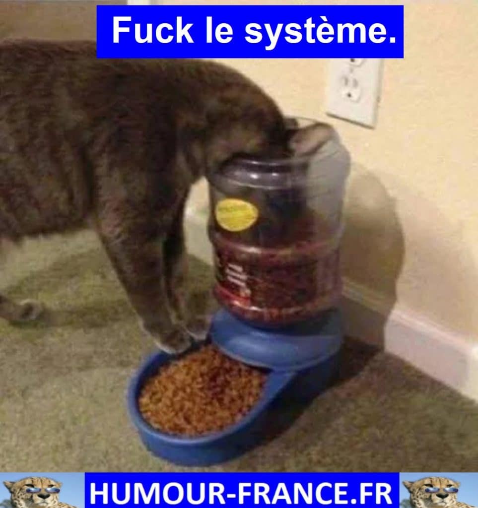 Fuck le système.