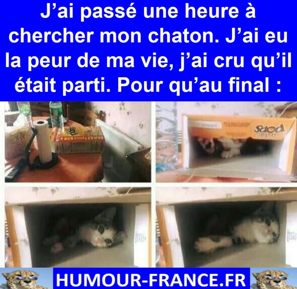 J’ai passé une heure à chercher mon chaton. J’ai eu la peur de ma vie, j’ai cru qu’il était parti. Pour qu’au final :