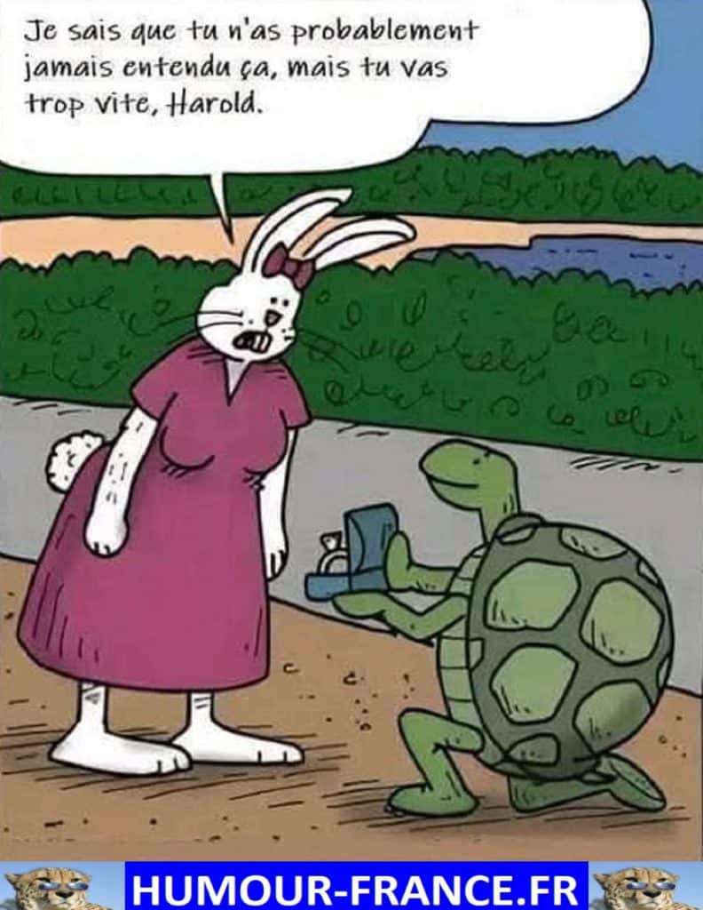 Je sais que tu n’as probablement jamais entendu ça, mais tu vas trop vite, Harold.