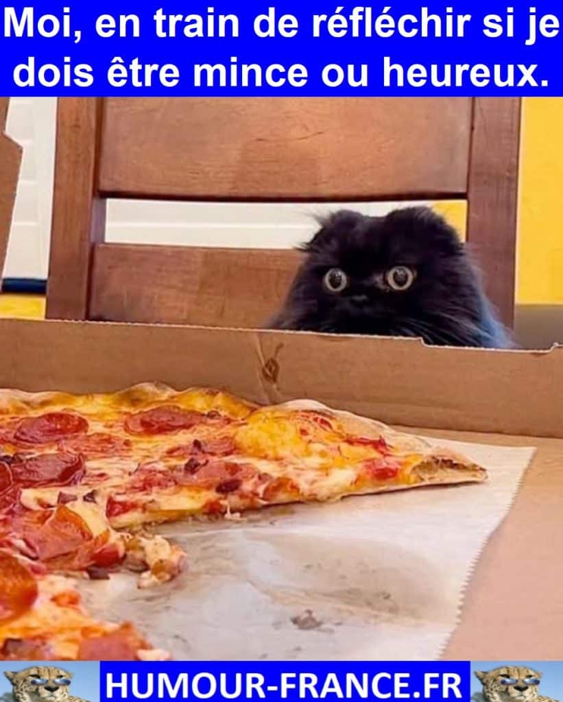 Moi, en train de réfléchir si je dois être mince ou heureux.