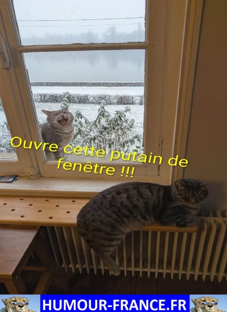 Ouvre cette putain de fen&ecirc;tre !!!