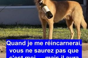 Quand je me réincarnerai, vous ne saurez pas que c’est moi … mais il aura des signes.