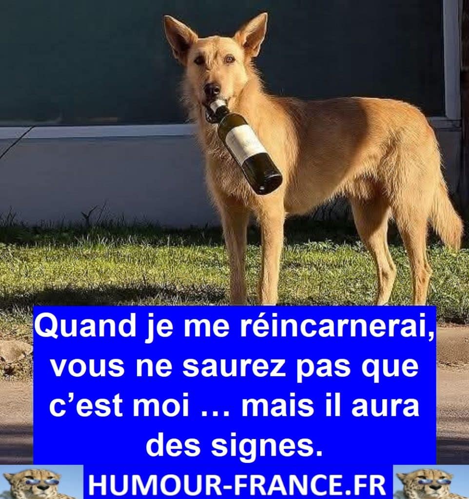 Quand je me réincarnerai, vous ne saurez pas que c’est moi … mais il aura des signes.