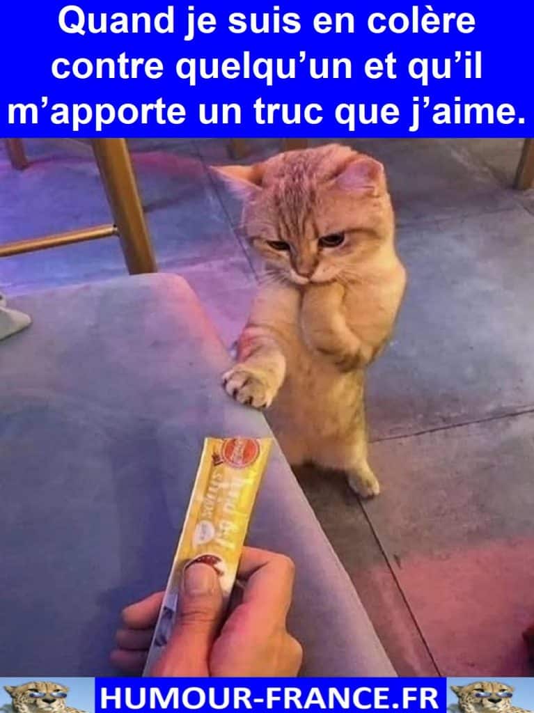Quand je suis en colère contre quelqu’un et qu’il m’apporte un truc que j’aime.