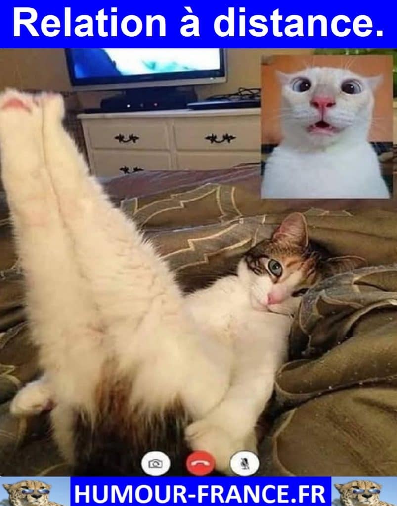 Relation à distance.